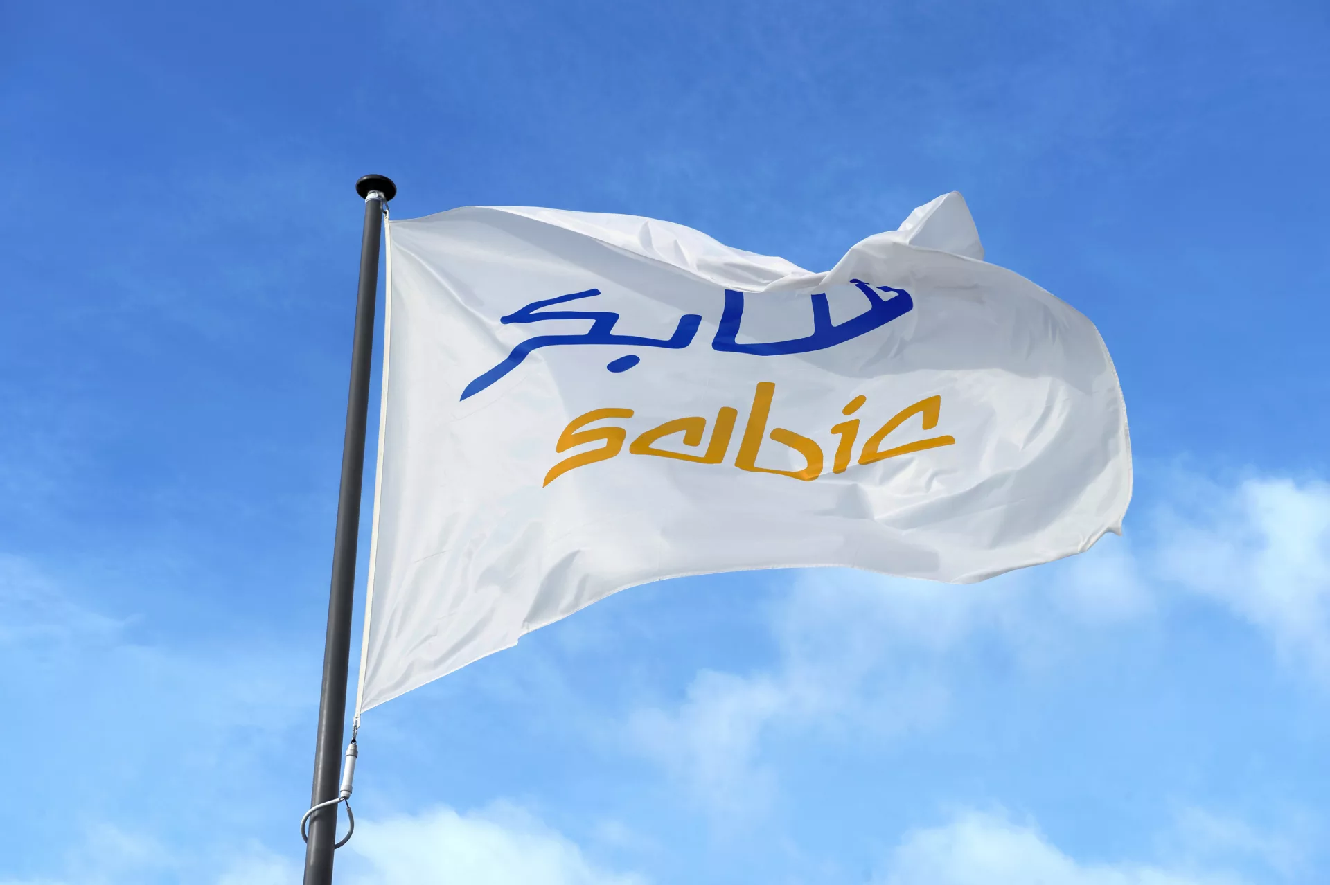 SABIC Brand Flag 1 tcm1010 15818